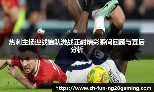 热刺主场迎战狼队激战正酣精彩瞬间回顾与赛后分析