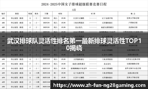武汉排球队灵活性排名第一最新排球灵活性TOP10揭晓